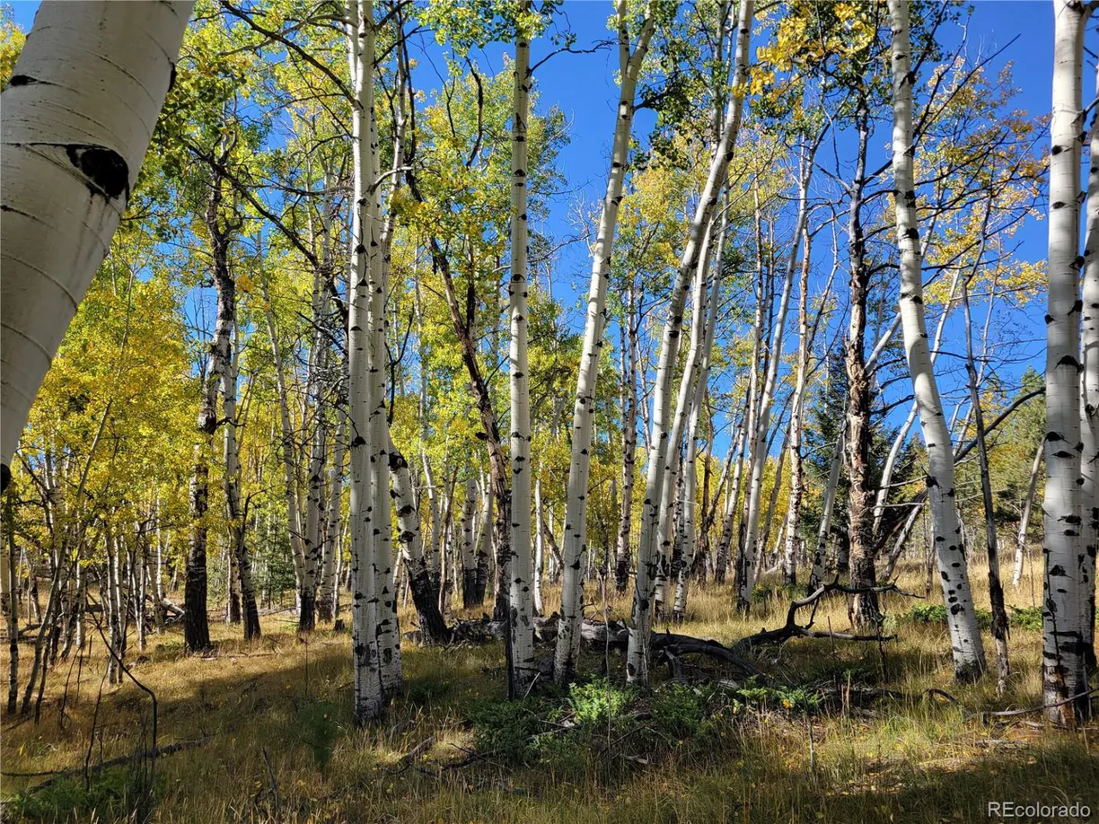 Denver Real Estate | View  | Listing
