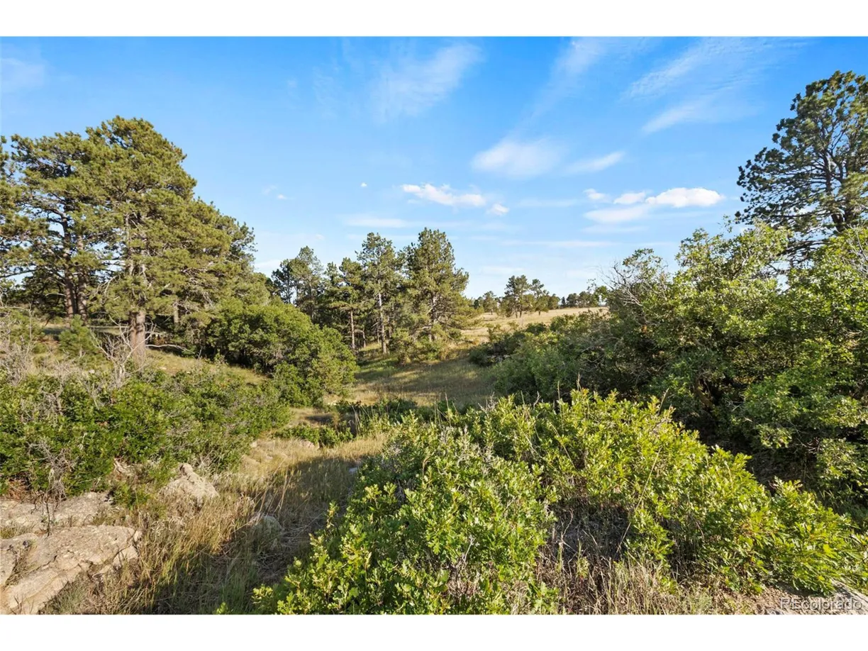 Denver Real Estate | View  | Listing