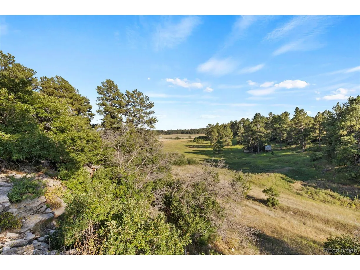Denver Real Estate | View 