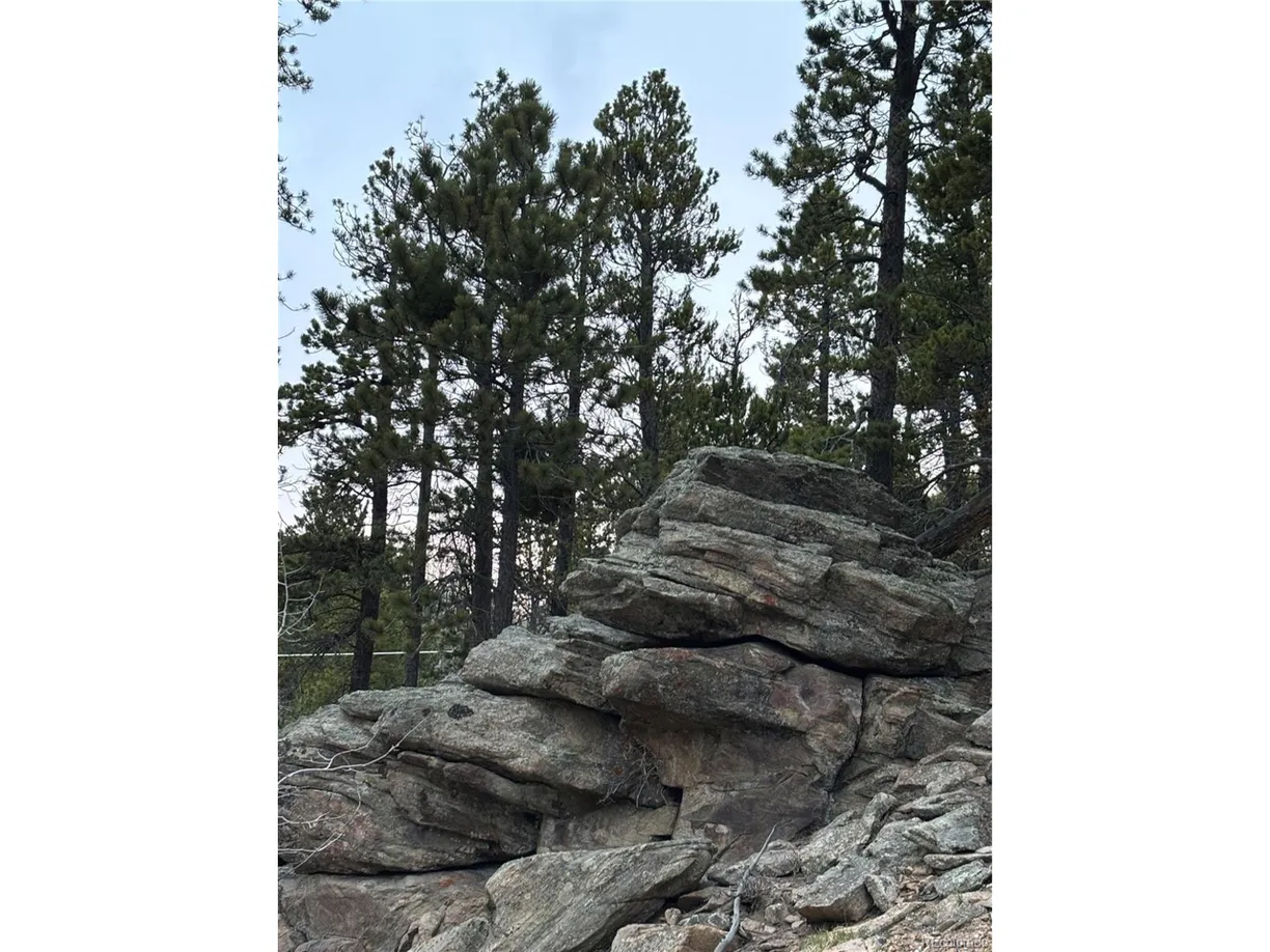 Denver Real Estate | View Badger Rd | Listing