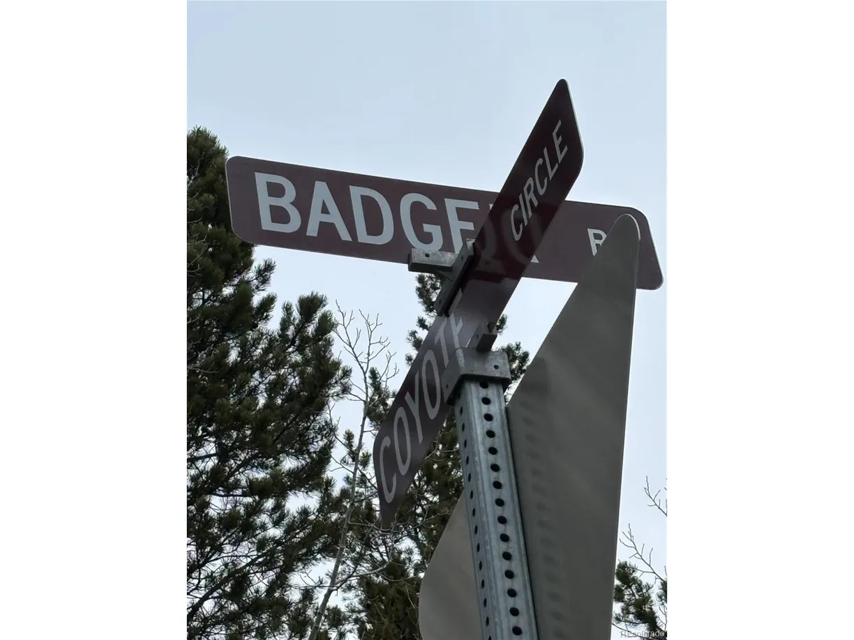 Denver Real Estate | View Badger Rd | Listing