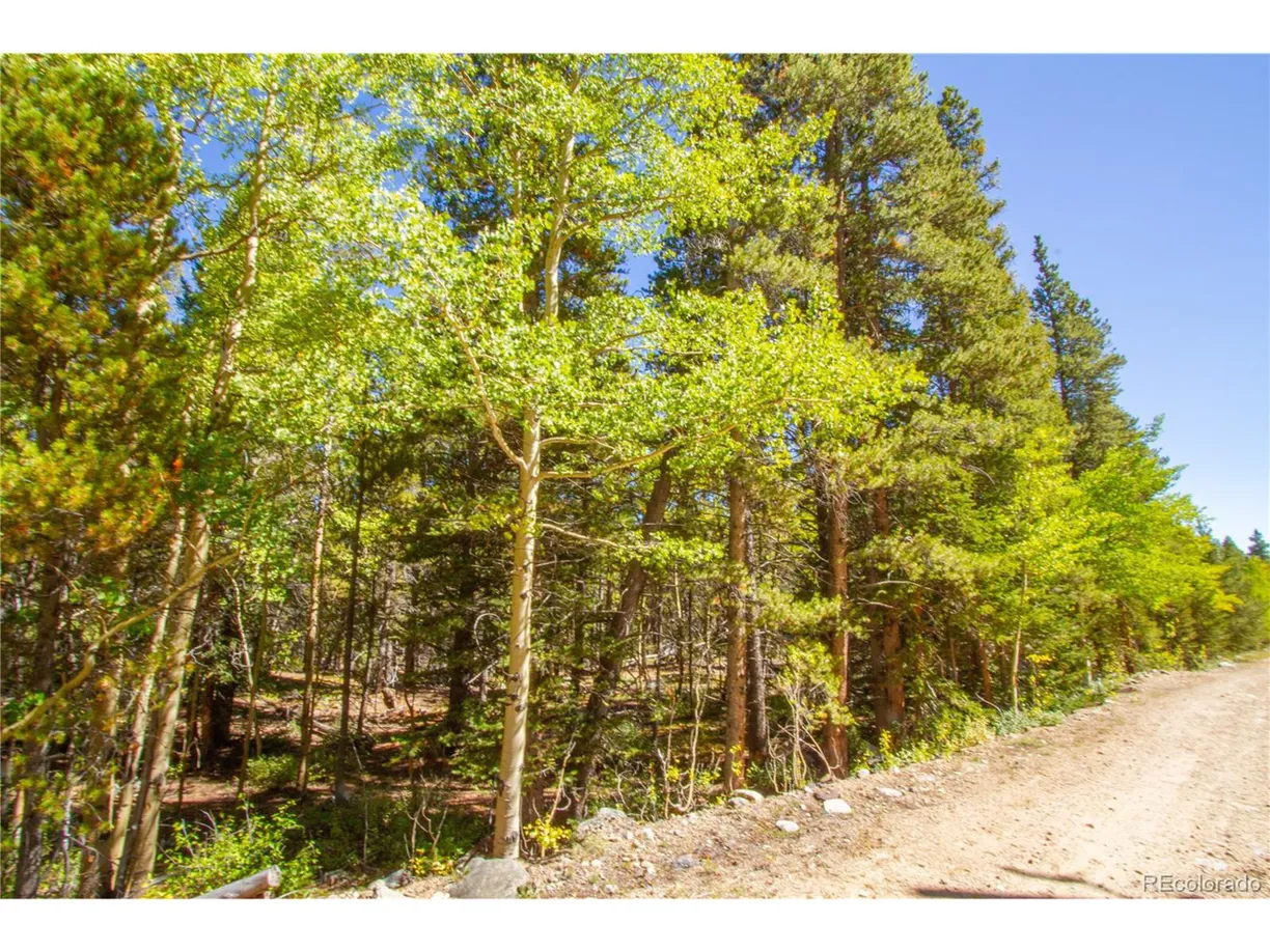Denver Real Estate | View  | Listing