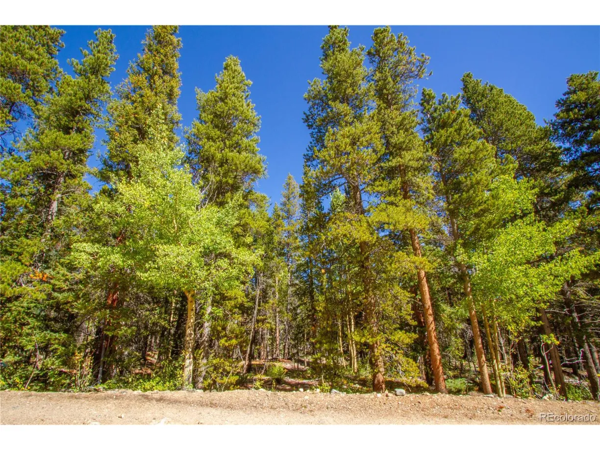 Denver Real Estate | View 