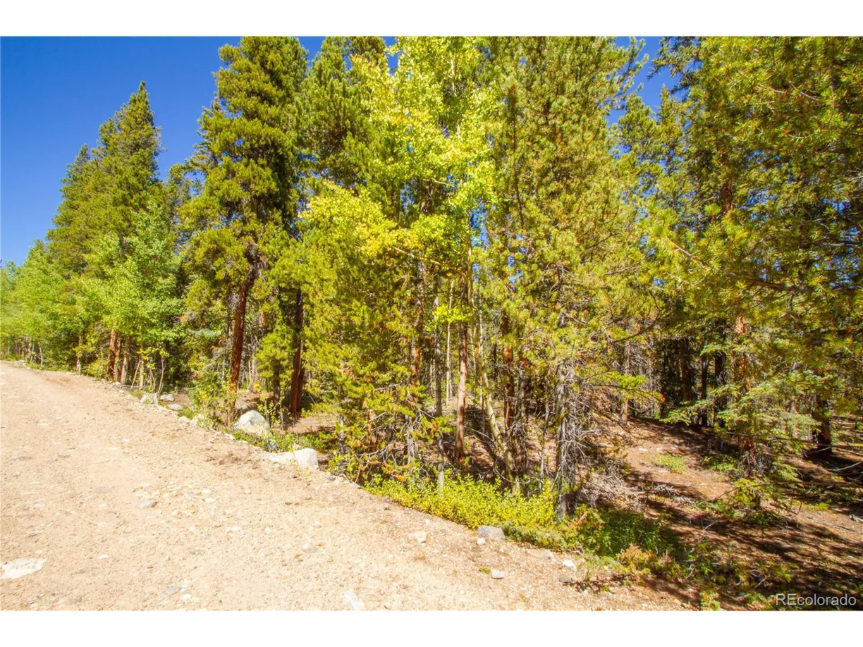 Denver Real Estate | View  | Listing