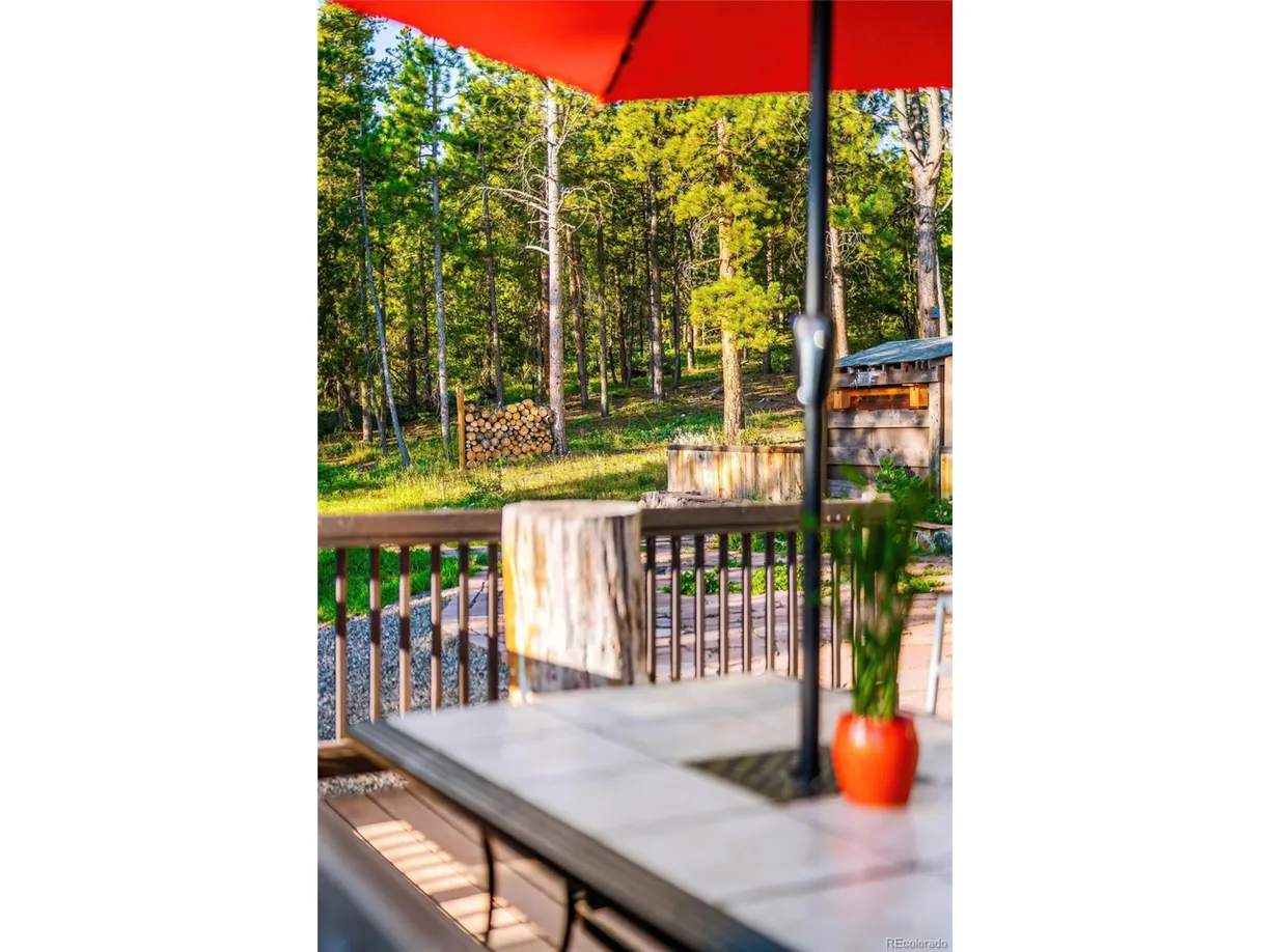 Denver Real Estate | View The Lane Rd | Listing