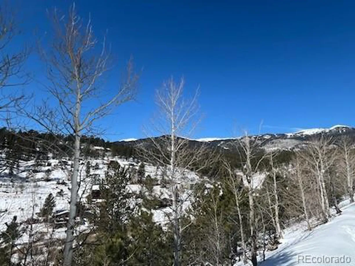 Denver Real Estate | View  | Listing