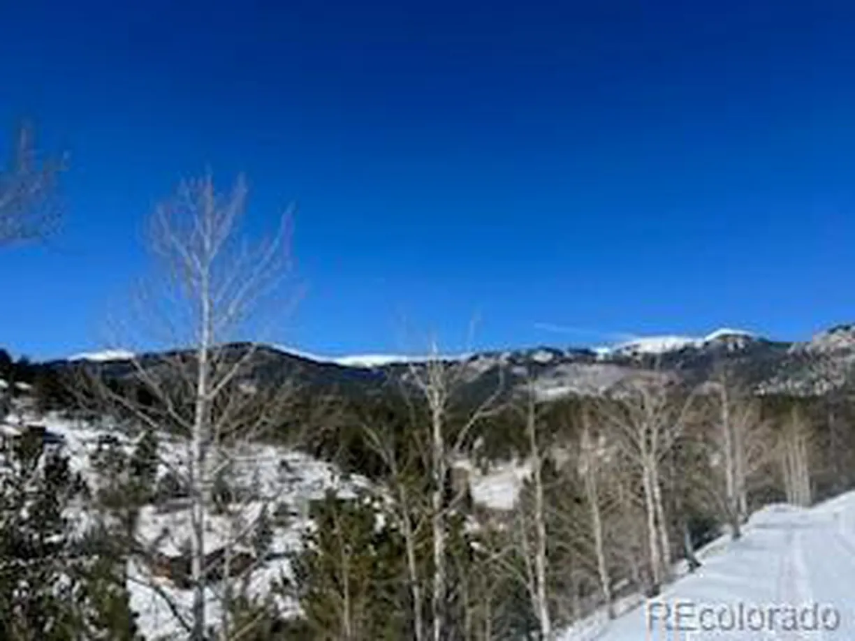 Denver Real Estate | View  | Listing
