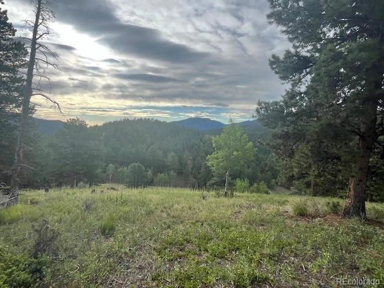 Denver Real Estate | View TC Rd 7