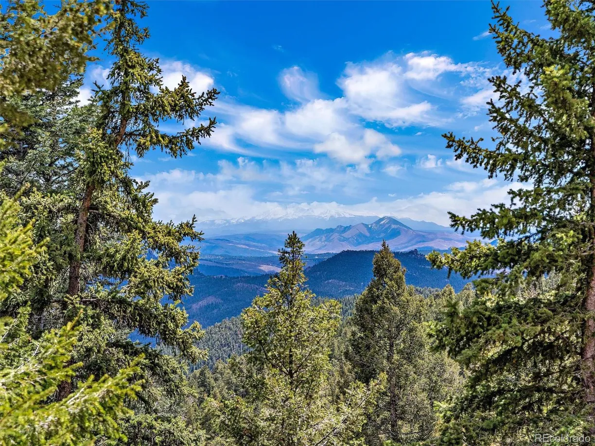 Denver Real Estate | View Elsie Rd | Listing