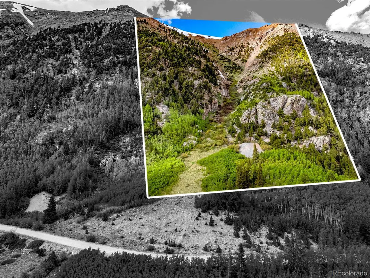 Denver Real Estate | View  | Listing