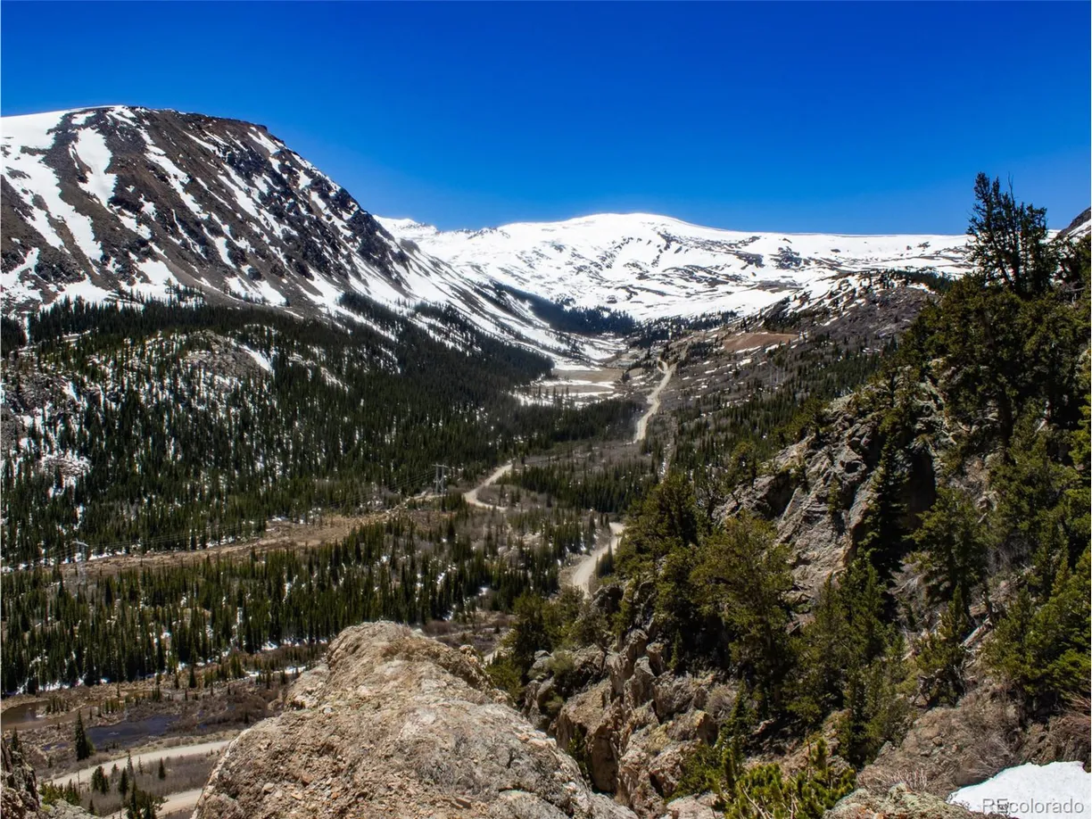 Denver Real Estate | View 