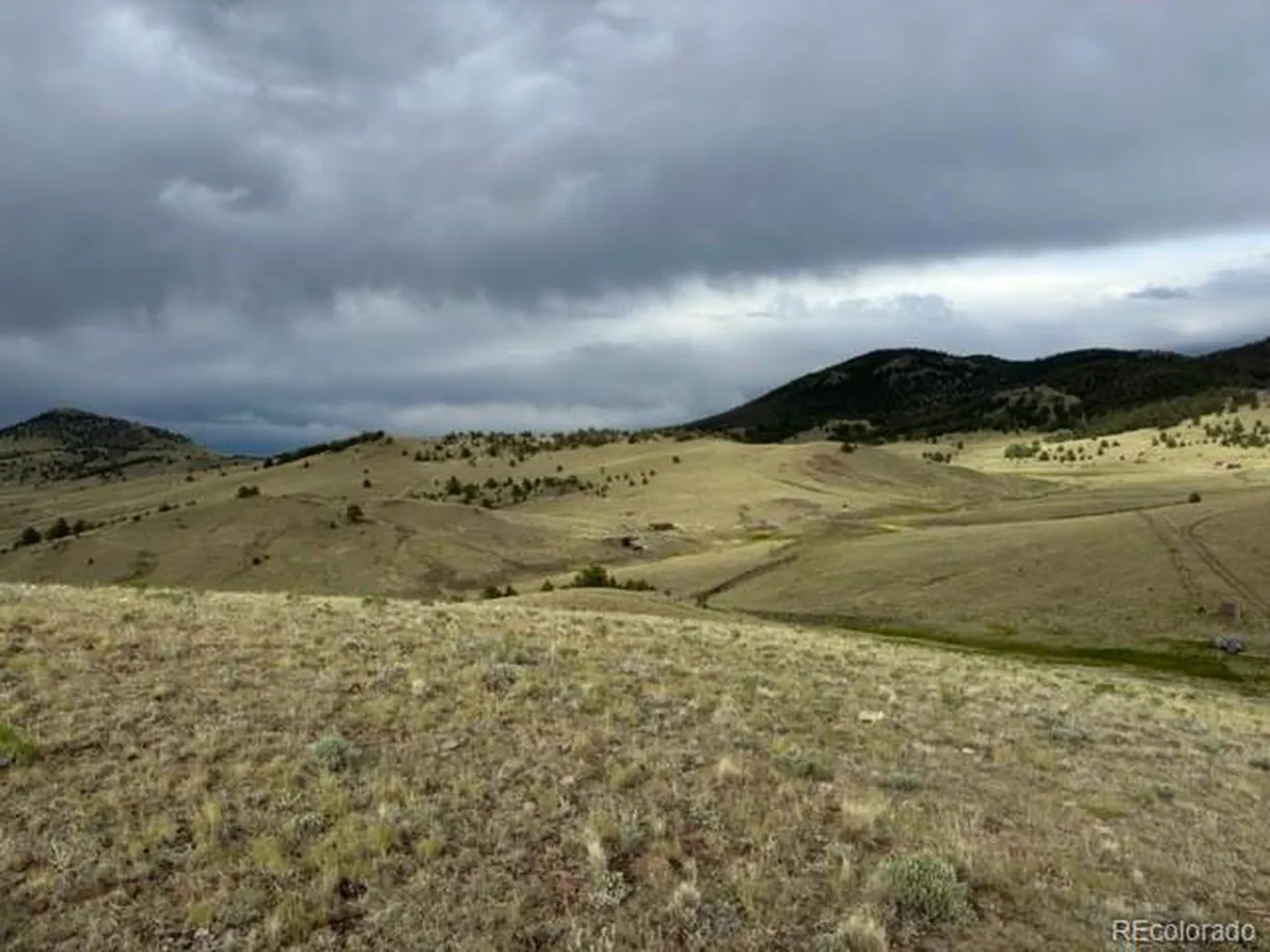 Denver Real Estate | View 
