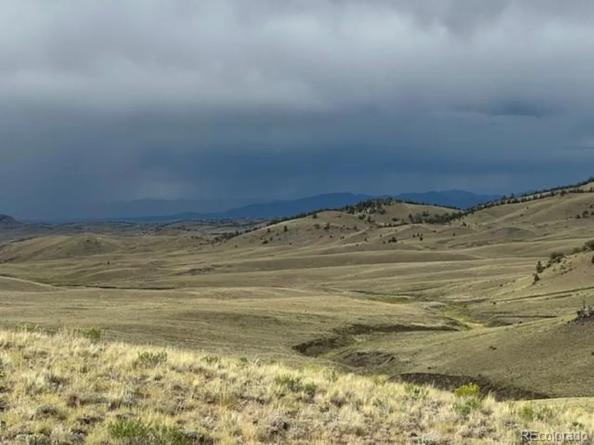Denver Real Estate | View  | Listing