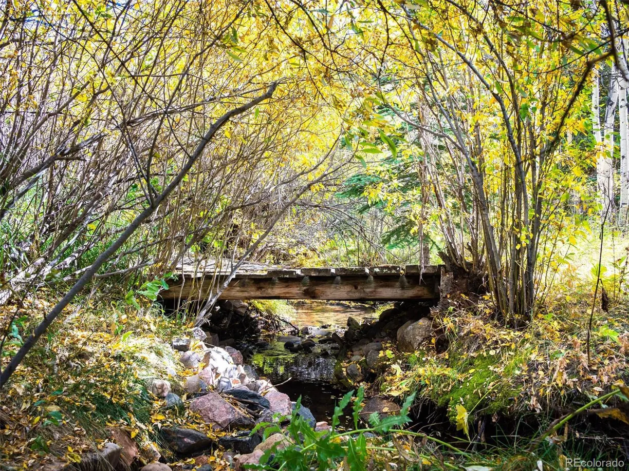 Denver Real Estate | View Caribou Rd