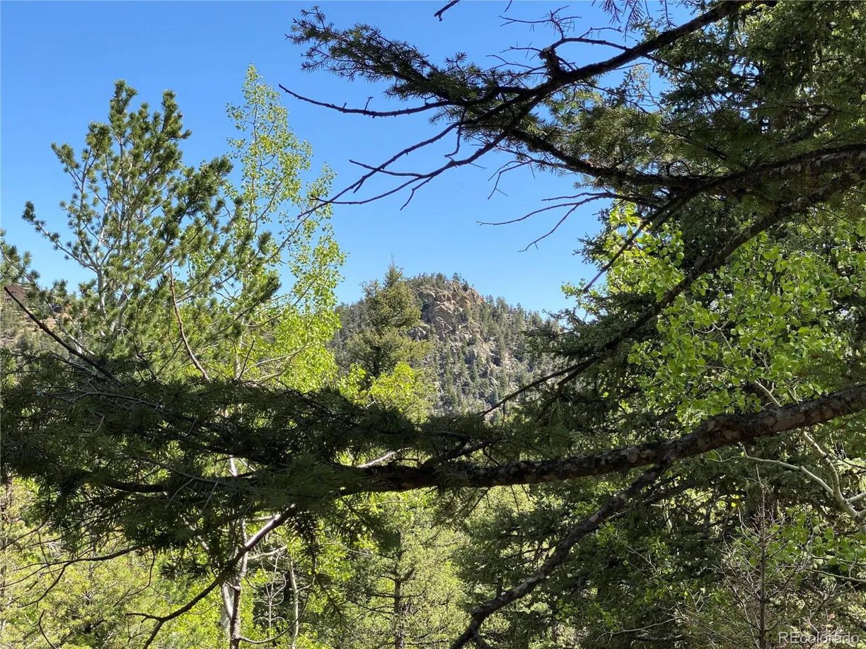 Denver Real Estate | View  | Listing