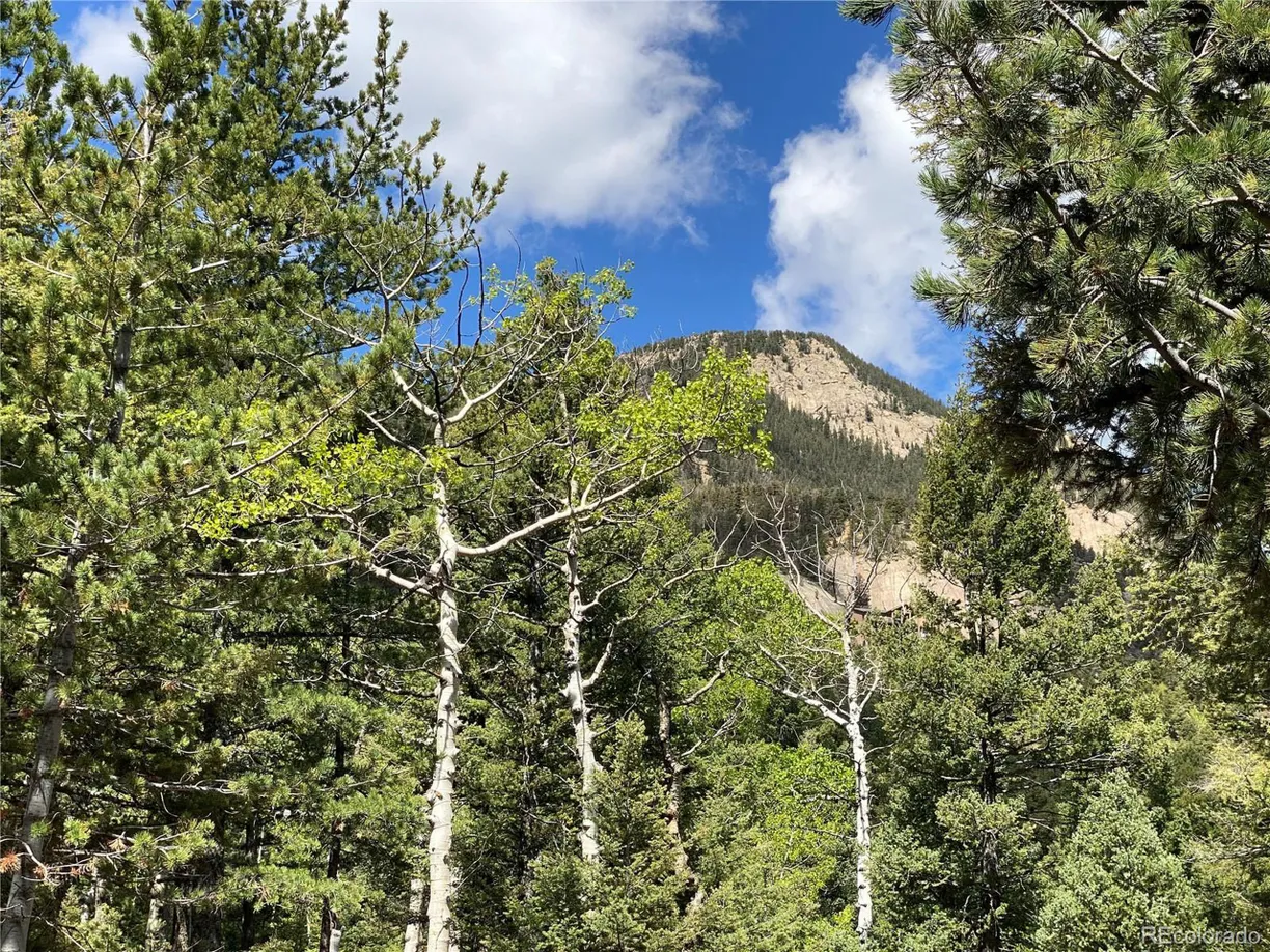 Denver Real Estate | View 
