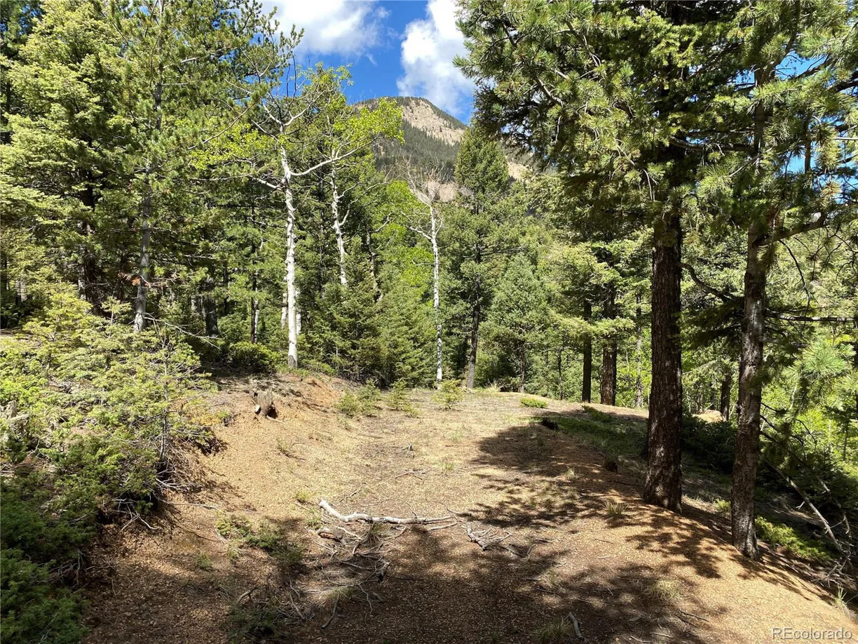 Denver Real Estate | View  | Listing