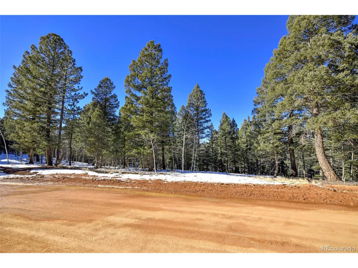 Denver Real Estate | View Ridge Rd | Listing