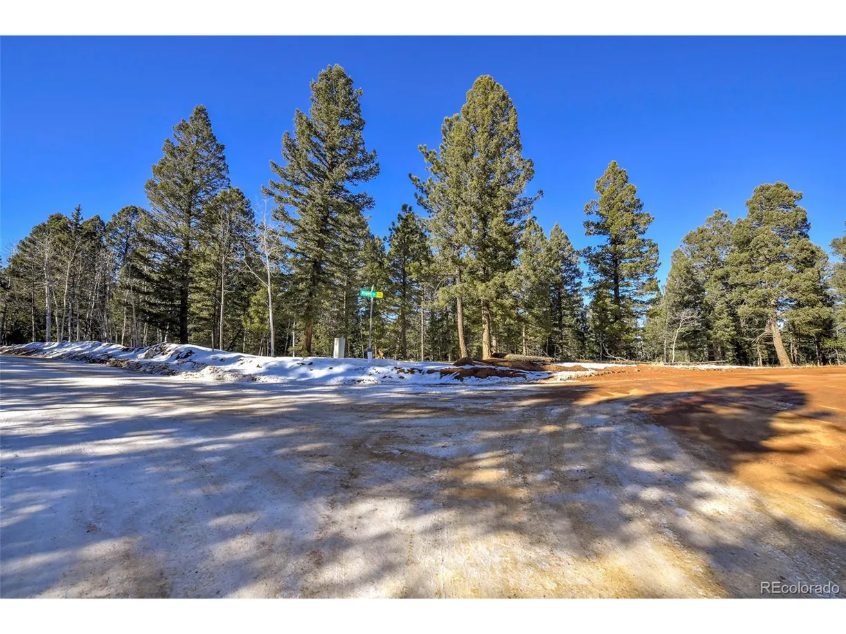 Denver Real Estate | View Ridge Rd | Listing
