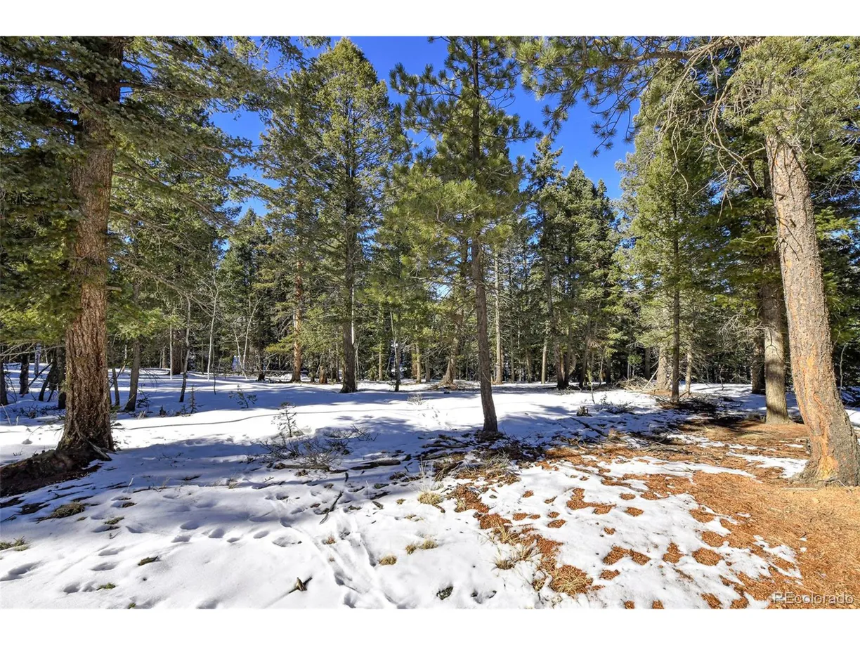 Denver Real Estate | View Ridge Rd