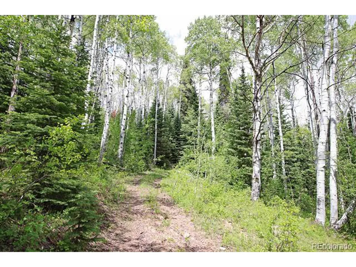 Denver Real Estate | View 