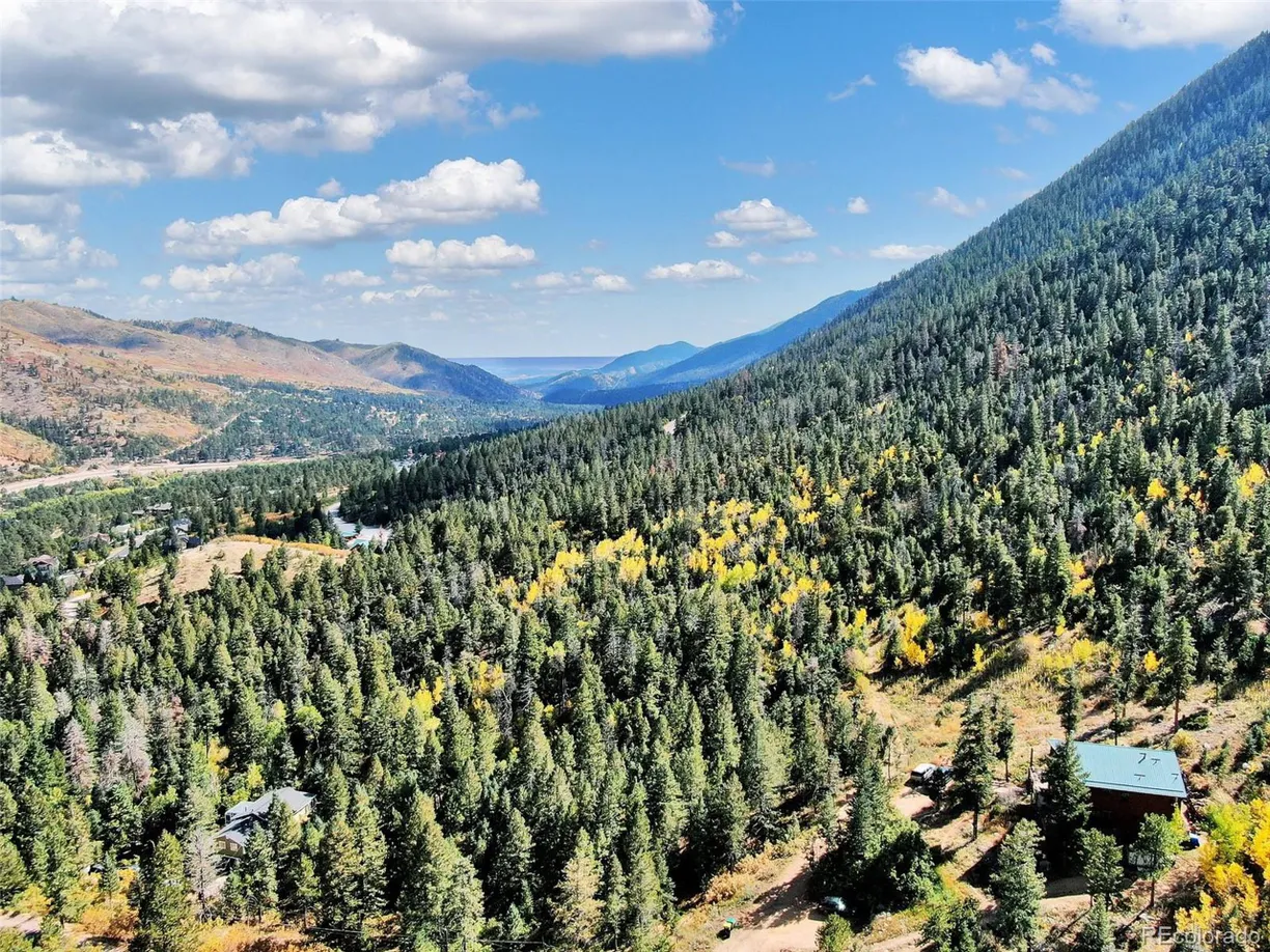 Denver Real Estate | View 