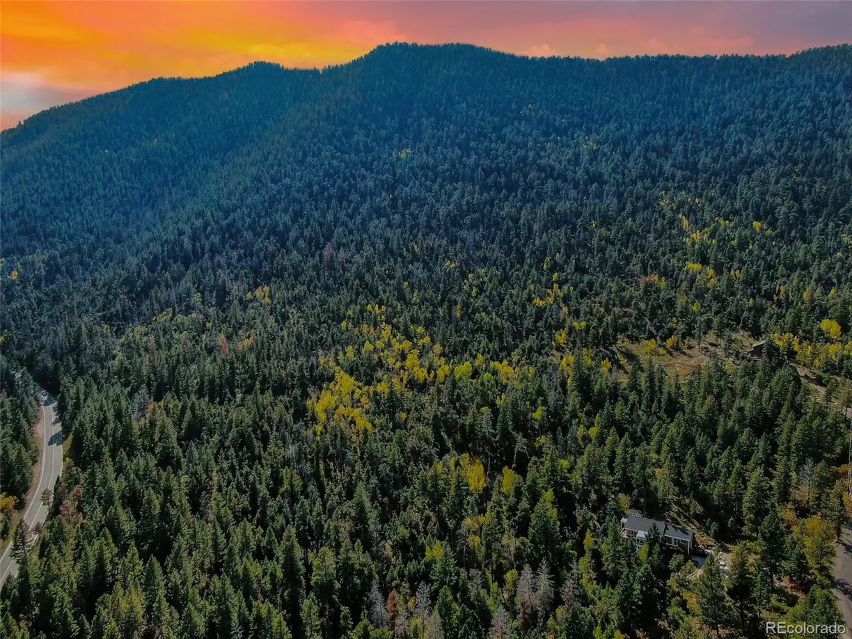 Denver Real Estate | View  | Listing
