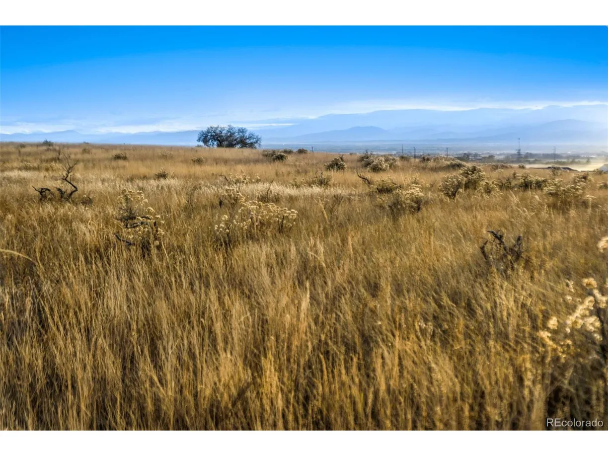 Denver Real Estate | View  | Listing