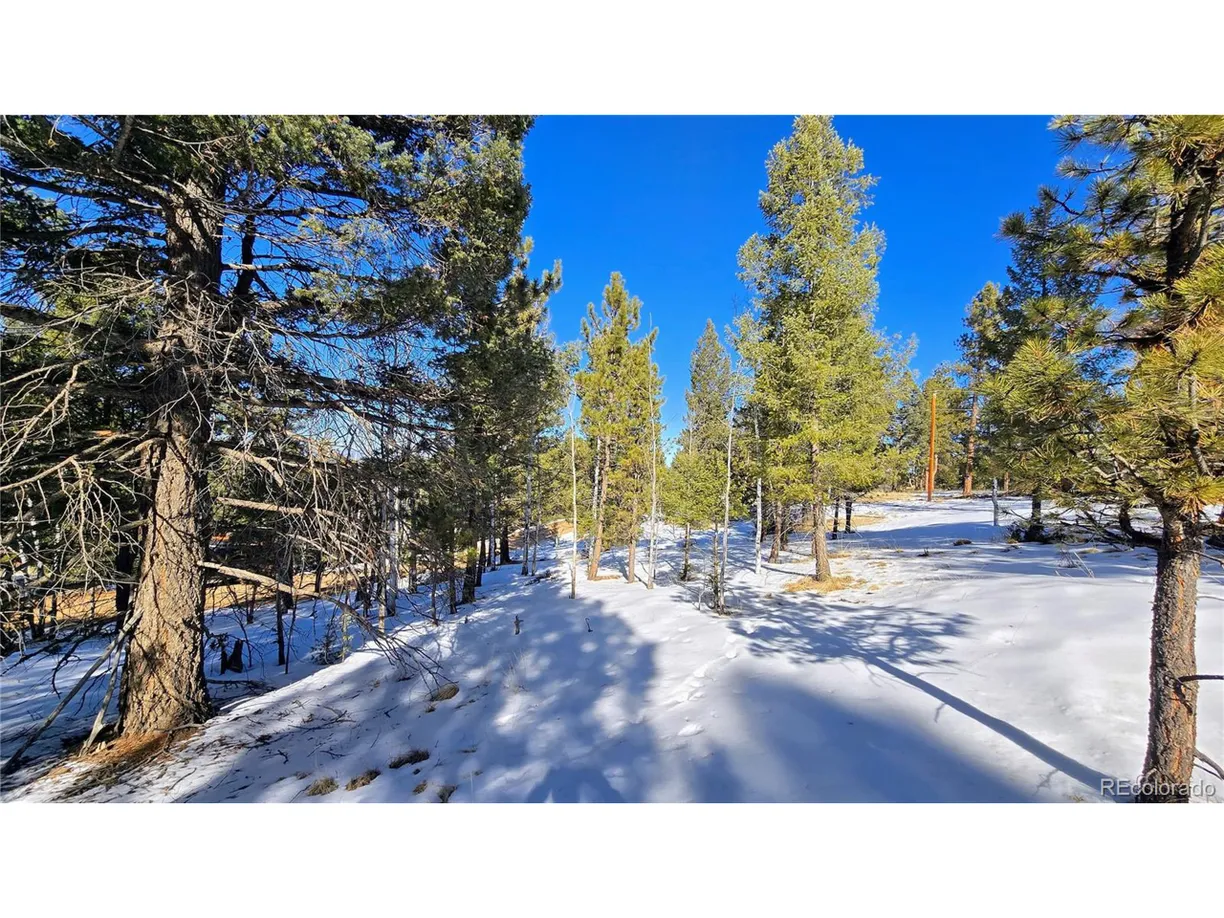 Denver Real Estate | View  | Listing