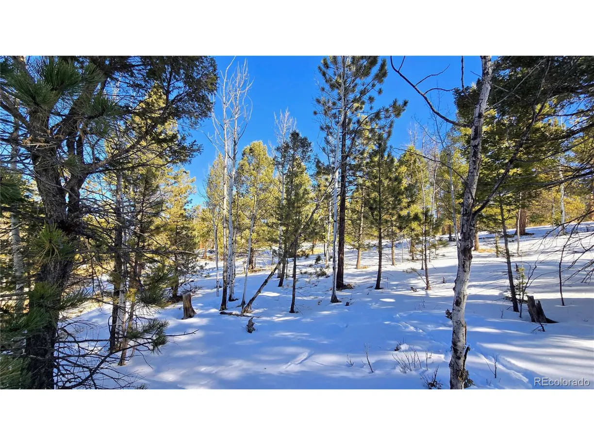 Denver Real Estate | View 