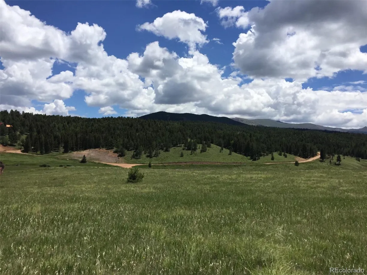 Denver Real Estate | View Elk Valley Rd | Listing