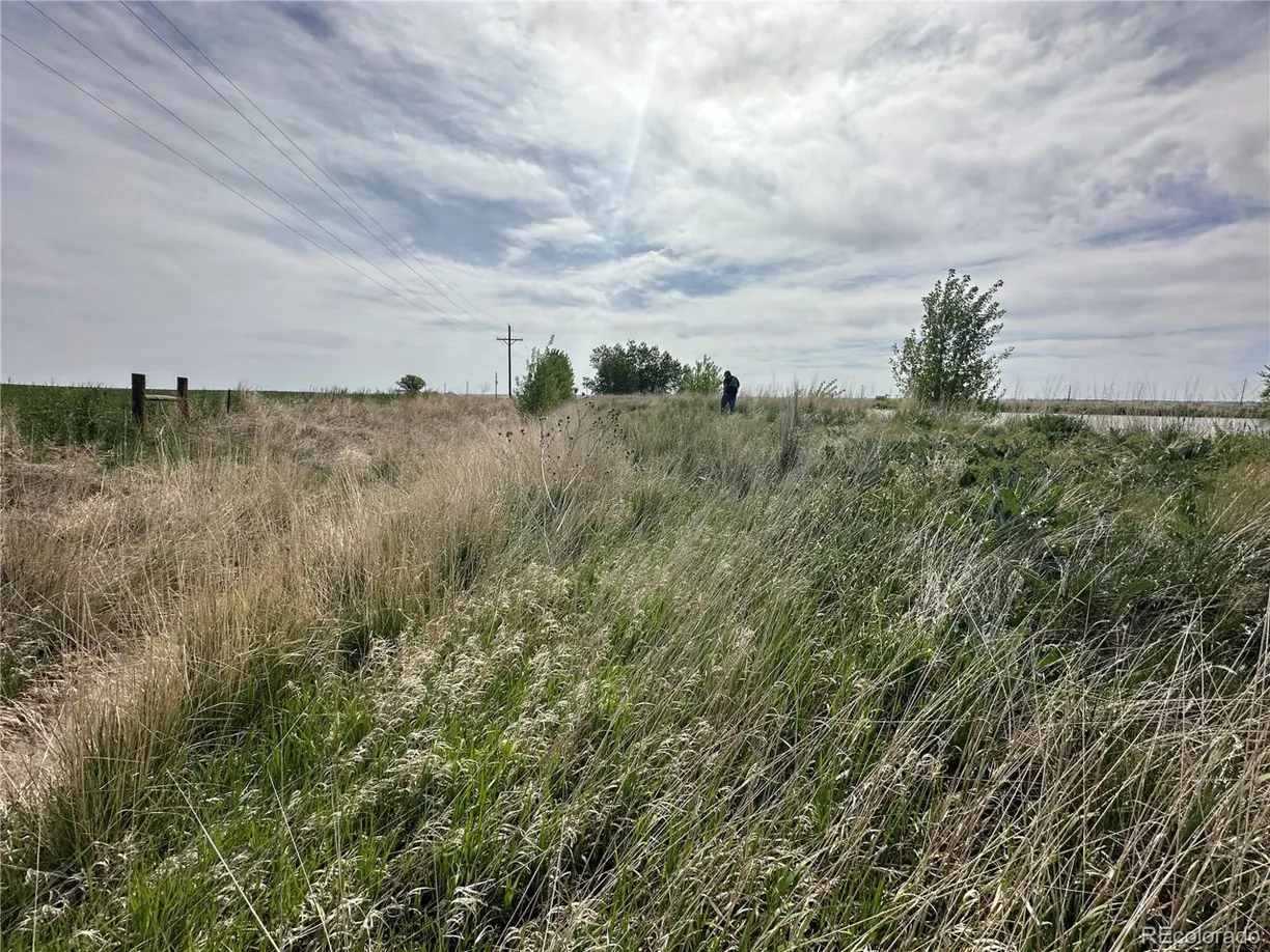 Denver Real Estate | View 