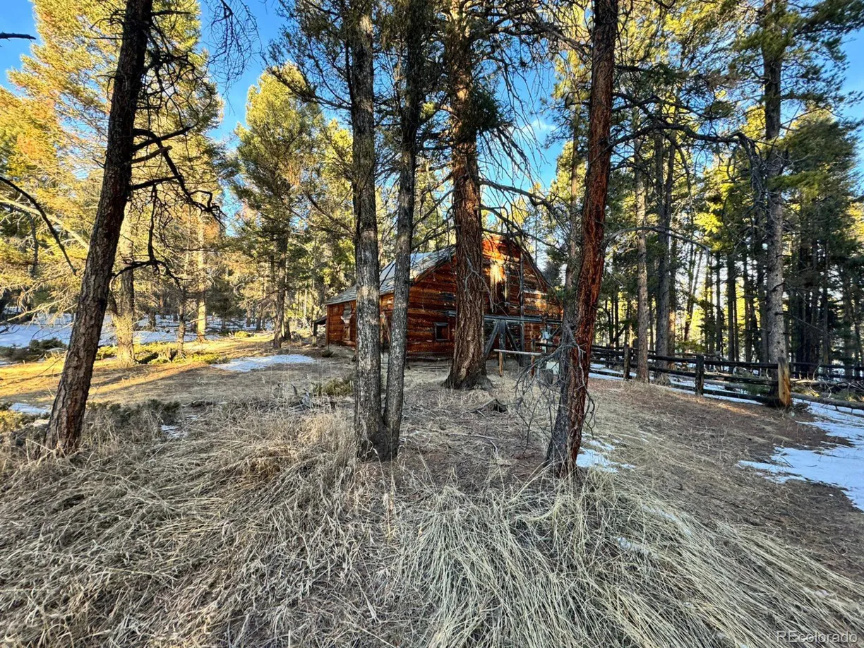 Denver Real Estate | View 