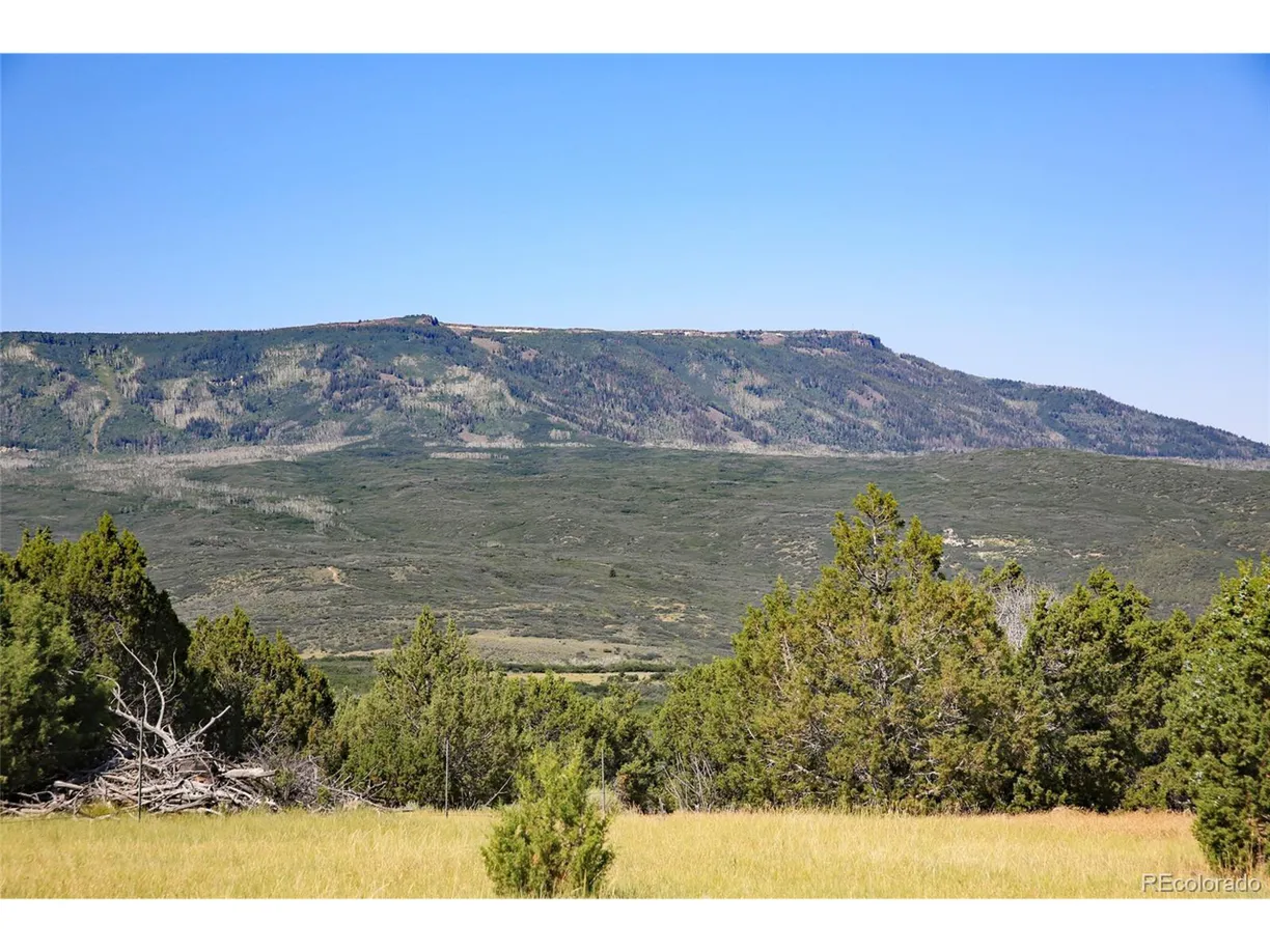 Denver Real Estate | View  | Listing