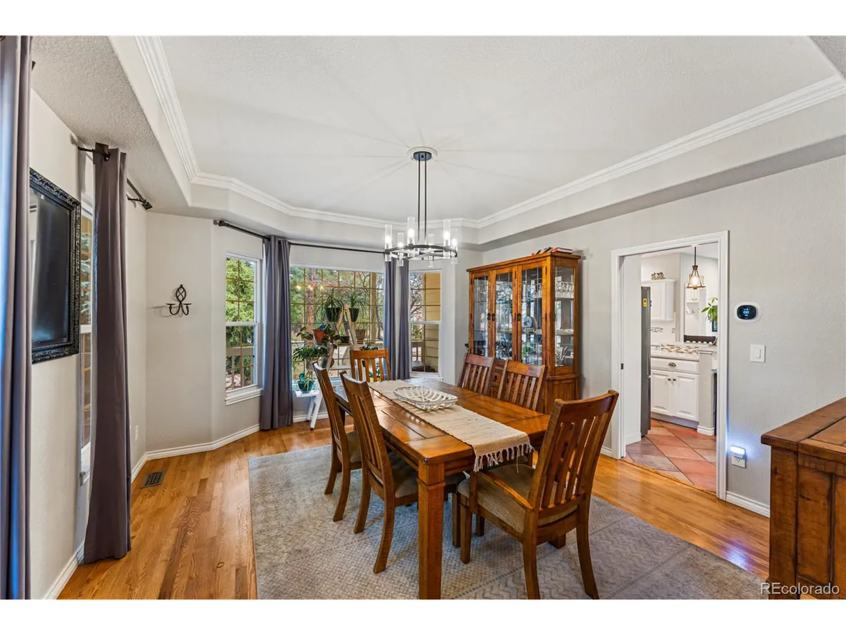 Denver Real Estate | View Falcon Ridge Ct | Listing