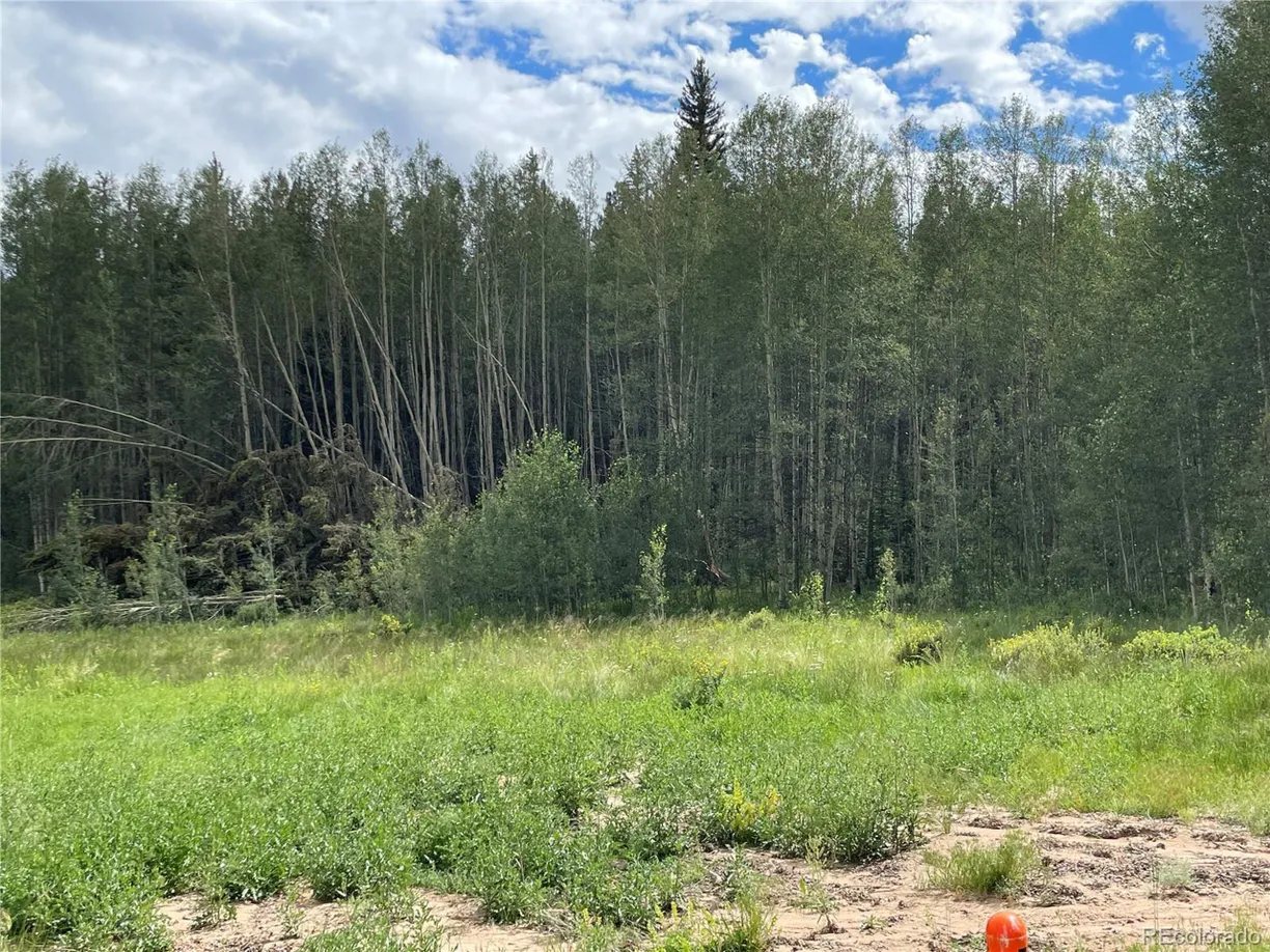 Denver Real Estate | View Remington Rd