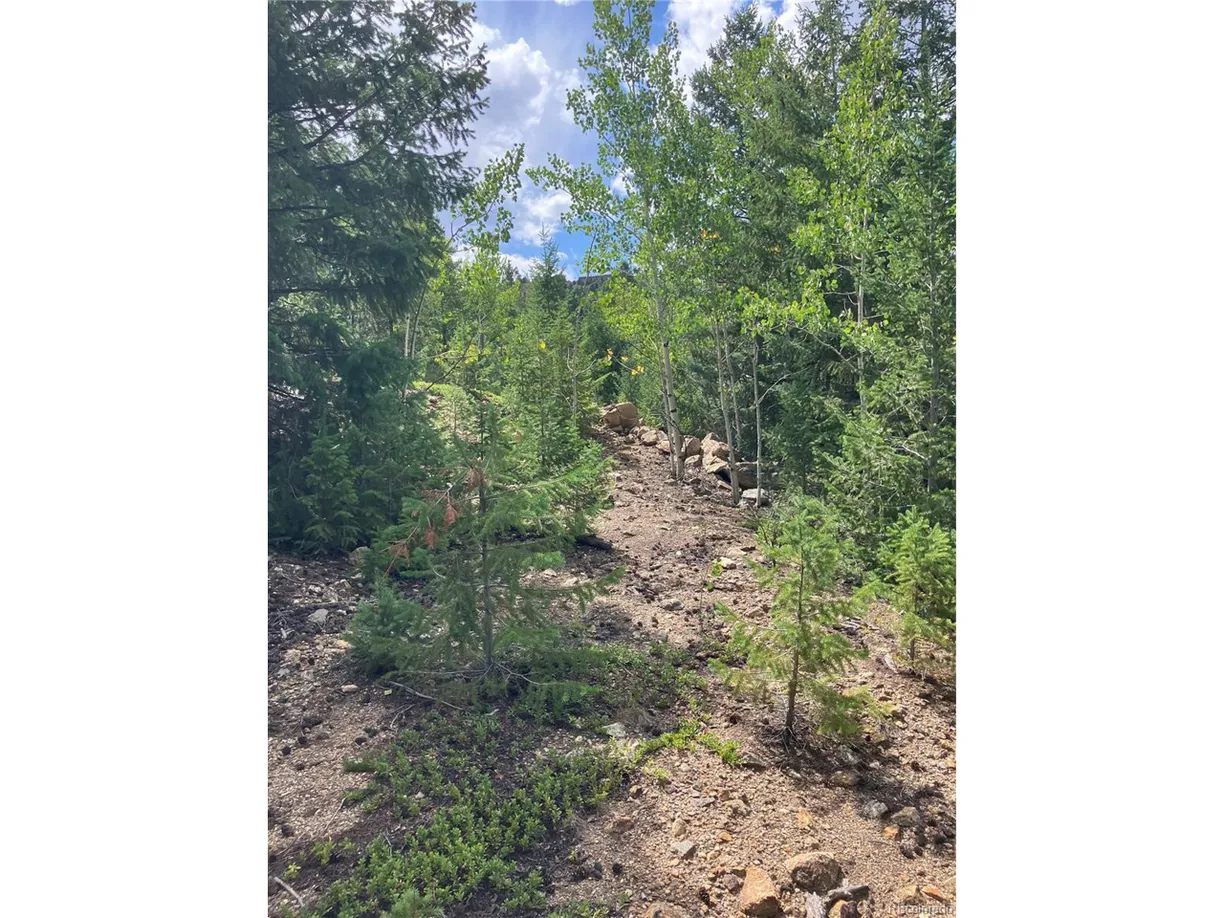 Denver Real Estate | View Miners Rd | Listing