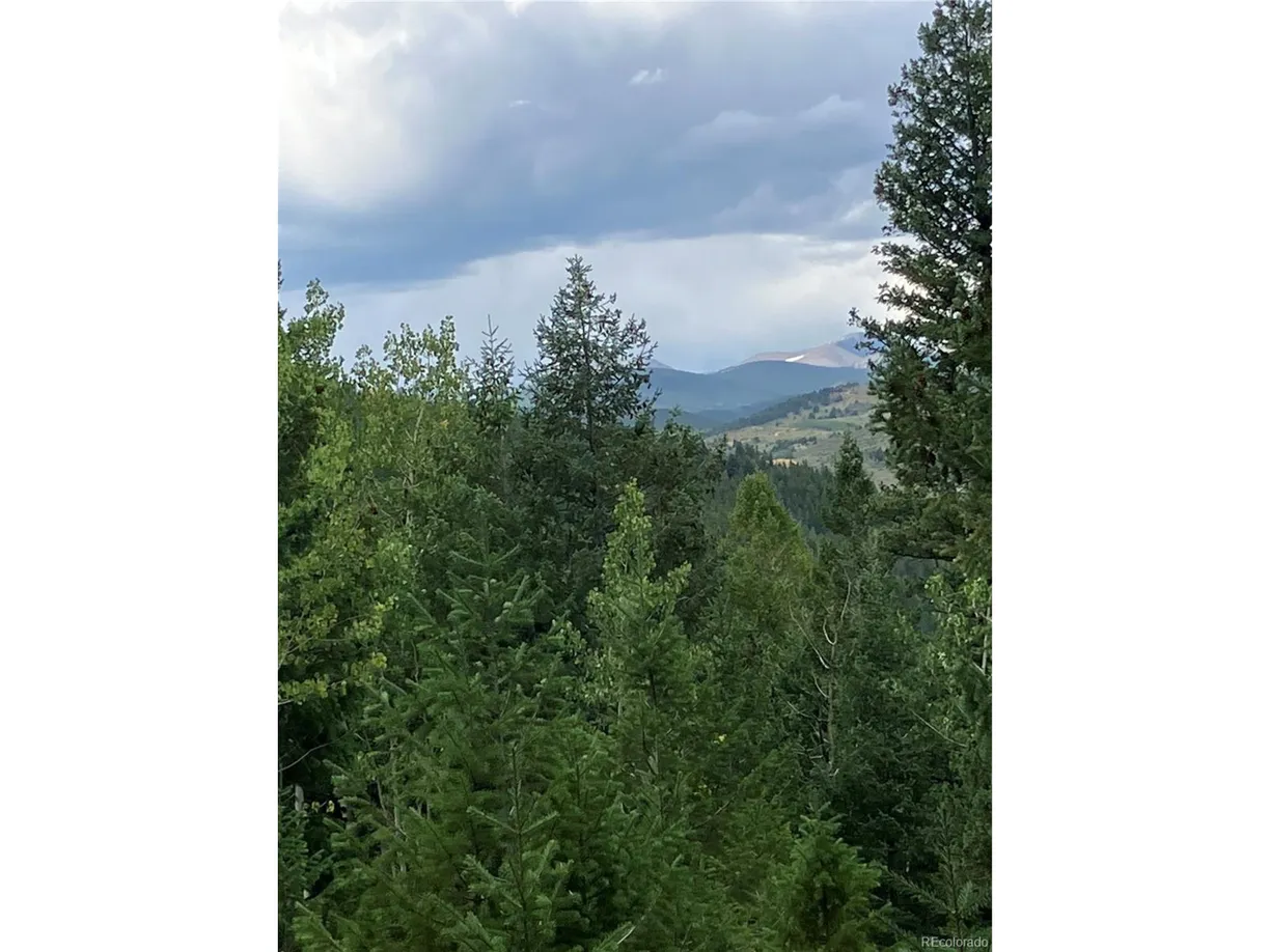 Denver Real Estate | View Miners Rd
