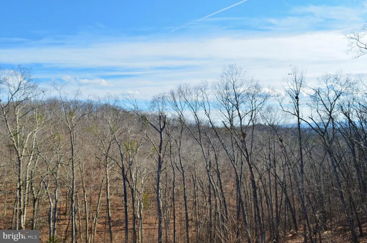 Washington Metro Area Real Estate | View GAFIA LODGE ROAD | Listing