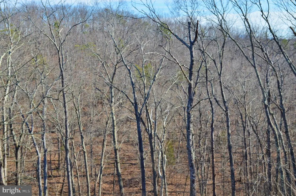 Washington Metro Area Real Estate | View GAFIA LODGE ROAD | Listing