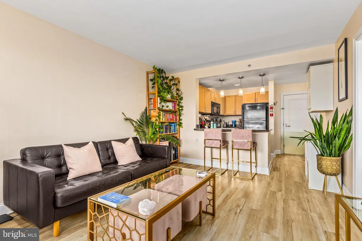 Washington Metro Area Real Estate | View 800 4th St Sw, s513 | Listing