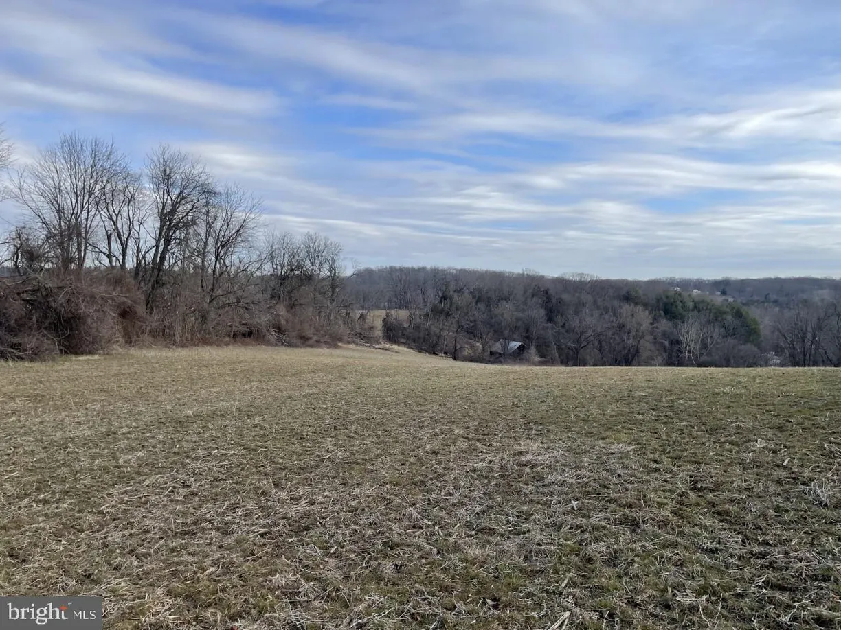 Washington Metro Area Real Estate | View 2800 Black Rock