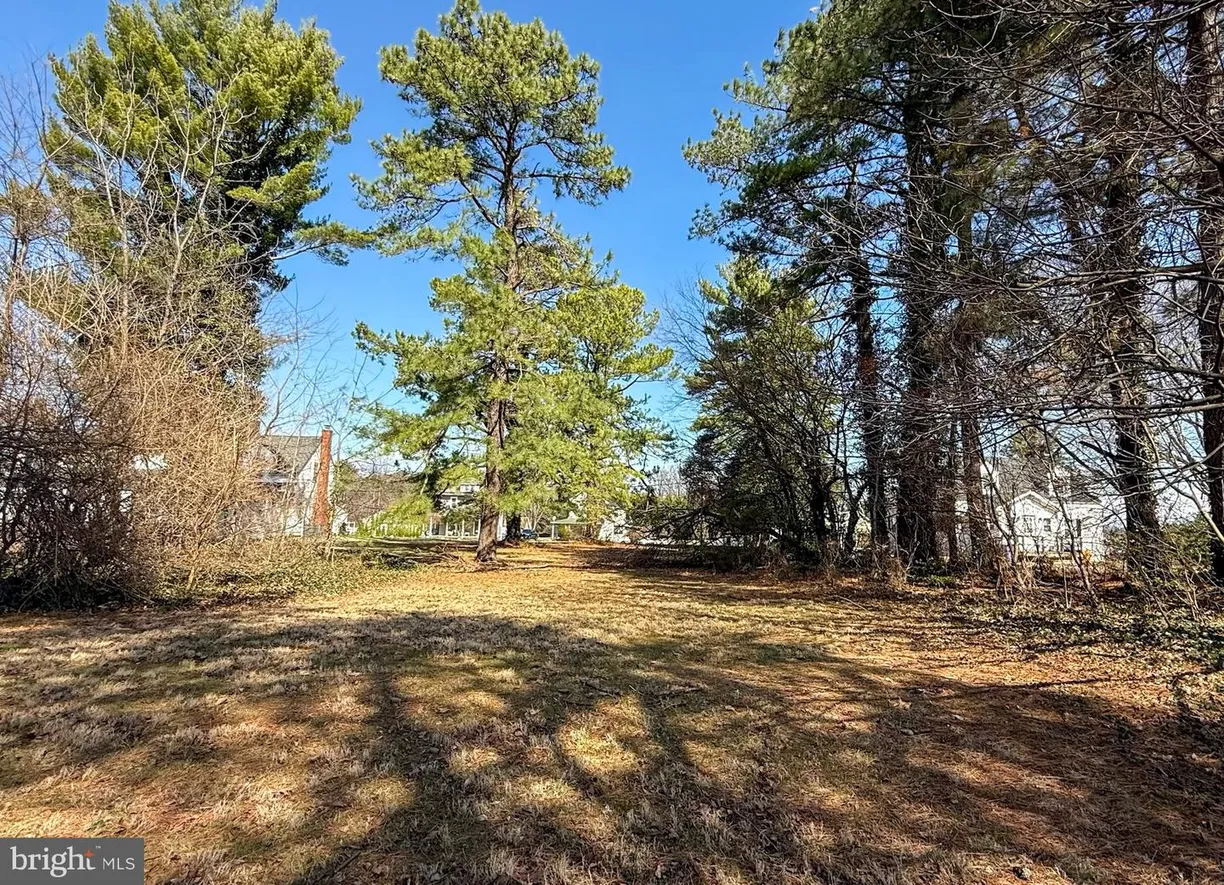 Washington Metro Area Real Estate | View MAIN STREET