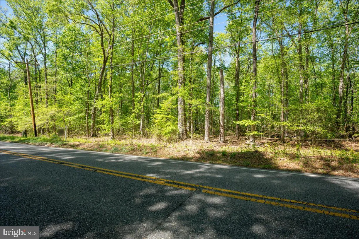 Washington Metro Area Real Estate | View Lot 13 Billingsley Rd | Listing
