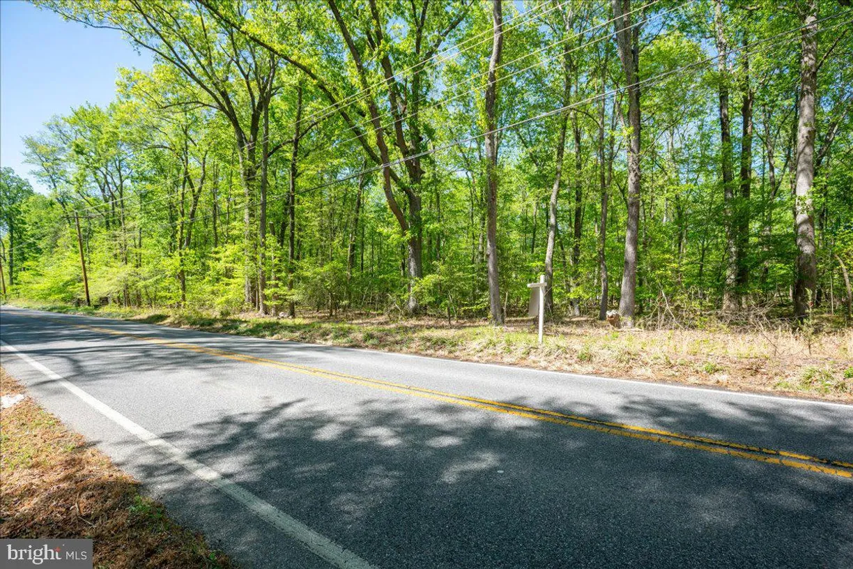 Washington Metro Area Real Estate | View Lot 13 Billingsley Rd
