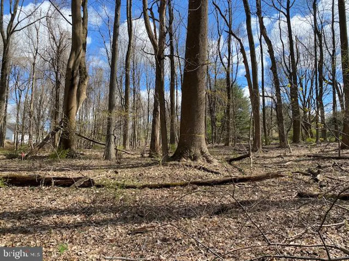 Washington Metro Area Real Estate | View Lot 2 Linden Church Road | Listing