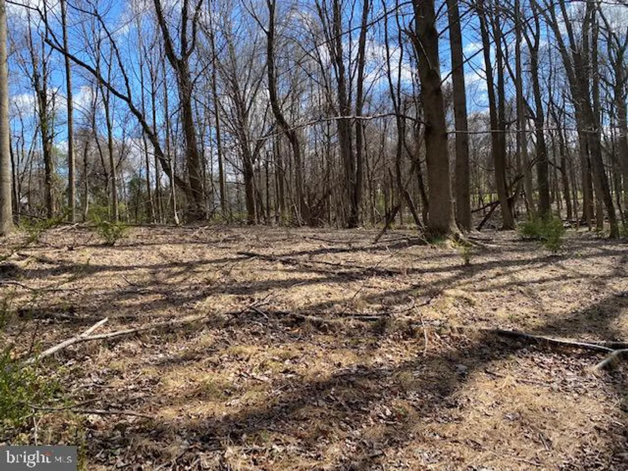 Washington Metro Area Real Estate | View Lot 2 Linden Church Road | Listing