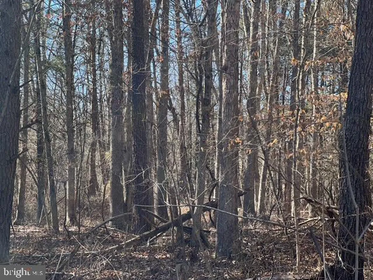 Washington Metro Area Real Estate | View HOYLES MILL ROAD | Listing