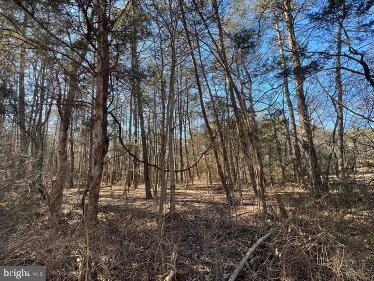 Washington Metro Area Real Estate | View HOYLES MILL ROAD | Listing