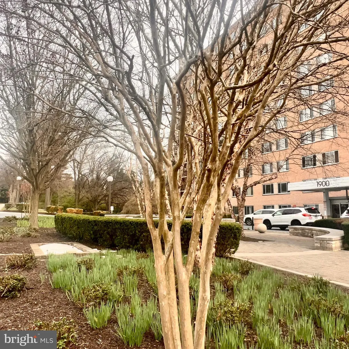 Washington Metro Area Real Estate | View 1900 Lyttonsville Rd, 717 | Listing
